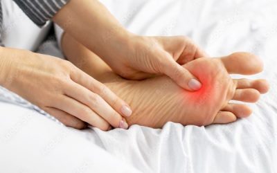 Plantari: A Cosa Servono
