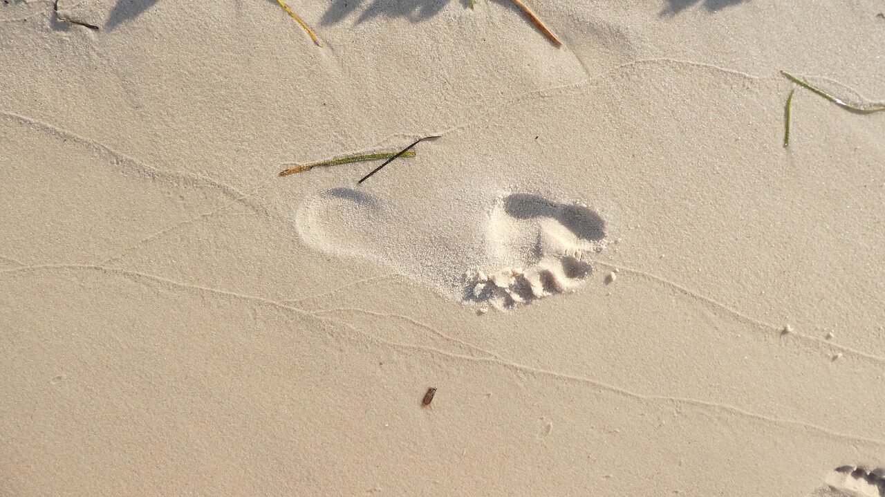 Plantari per piede piatto e piede  cavo